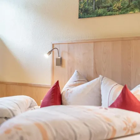 Appartementhaus Im Winkel 3* ゼルデン